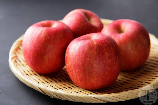 조금만 먹어도 배부른 음식 사과 다이어트식품 추천