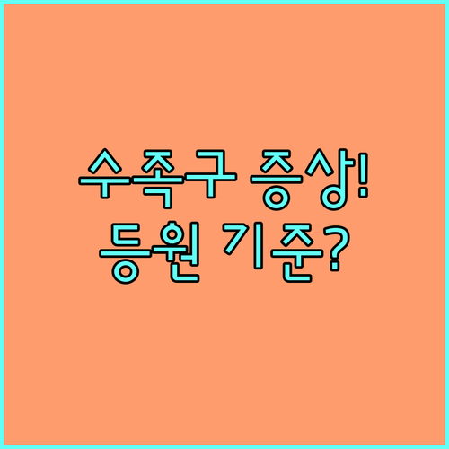 수족구 증상과 홍성군 병원, 등원 격..