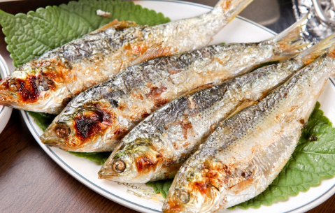 전어, 전어 제철, 전어 구이, 전어회 무침으로 맛있게 즐기자!