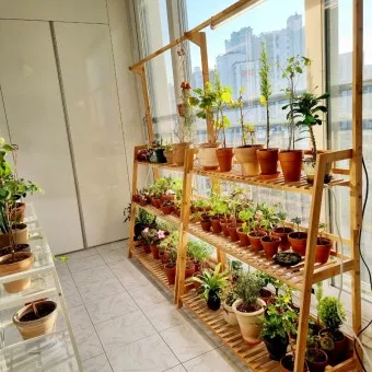 화분 베란다 단열 겨울철보온 커튼사용 찬바람차단 식물보호 요령_6