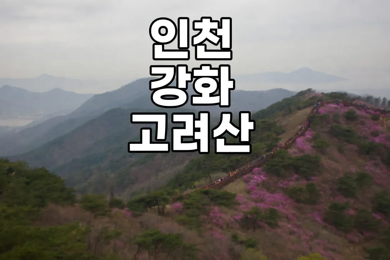 인천 강화도 고려산 진달래 시간 교통 투어
