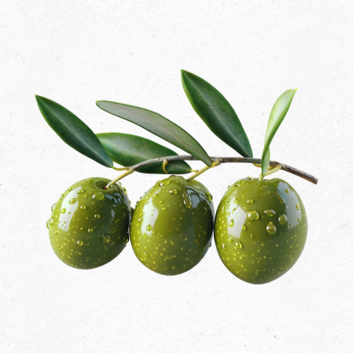 천연 올리브오일의 영양 성분