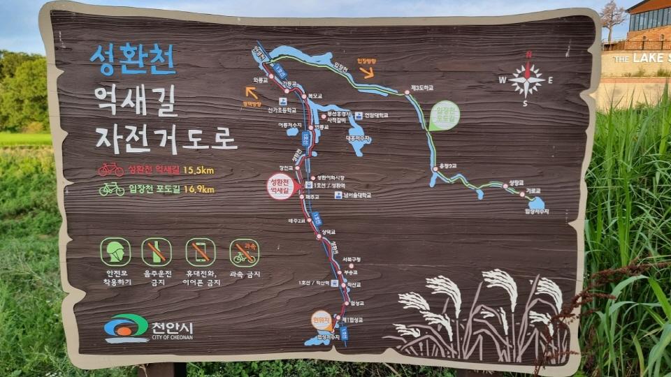 성환천 억새길 자전거도로