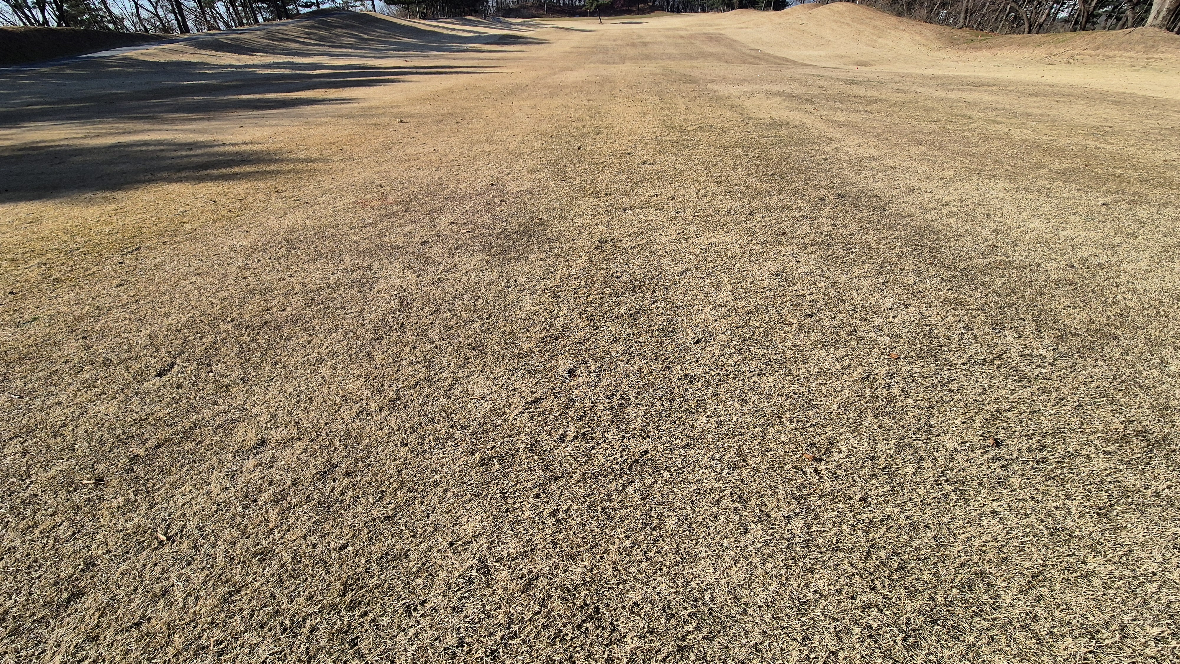 88cc 서코스 라운드 코스난이도