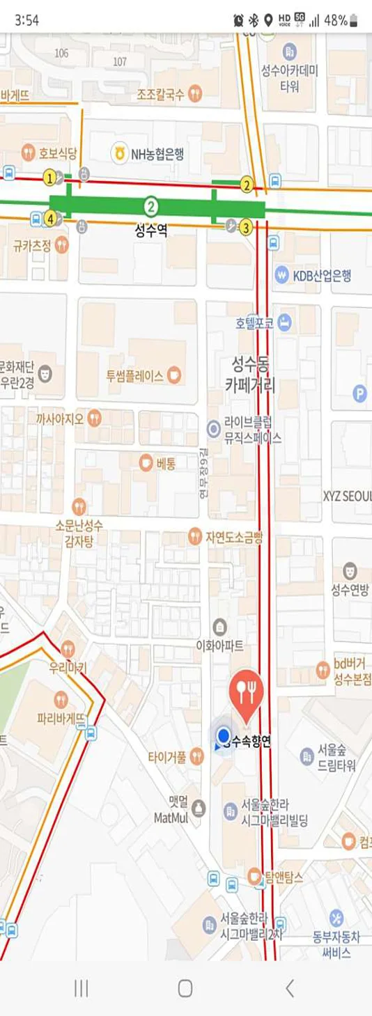 성수속향연
