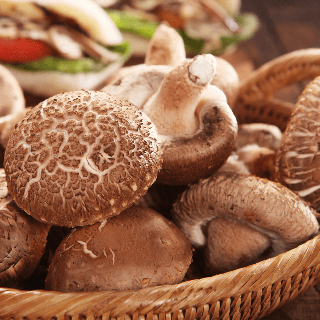 표고버섯 효능 부작용