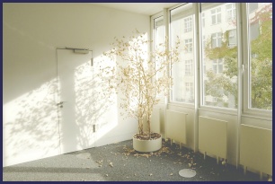 흰색 실내 인테리어