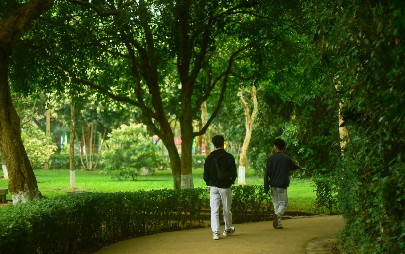 남성 갱년기 관련 사진