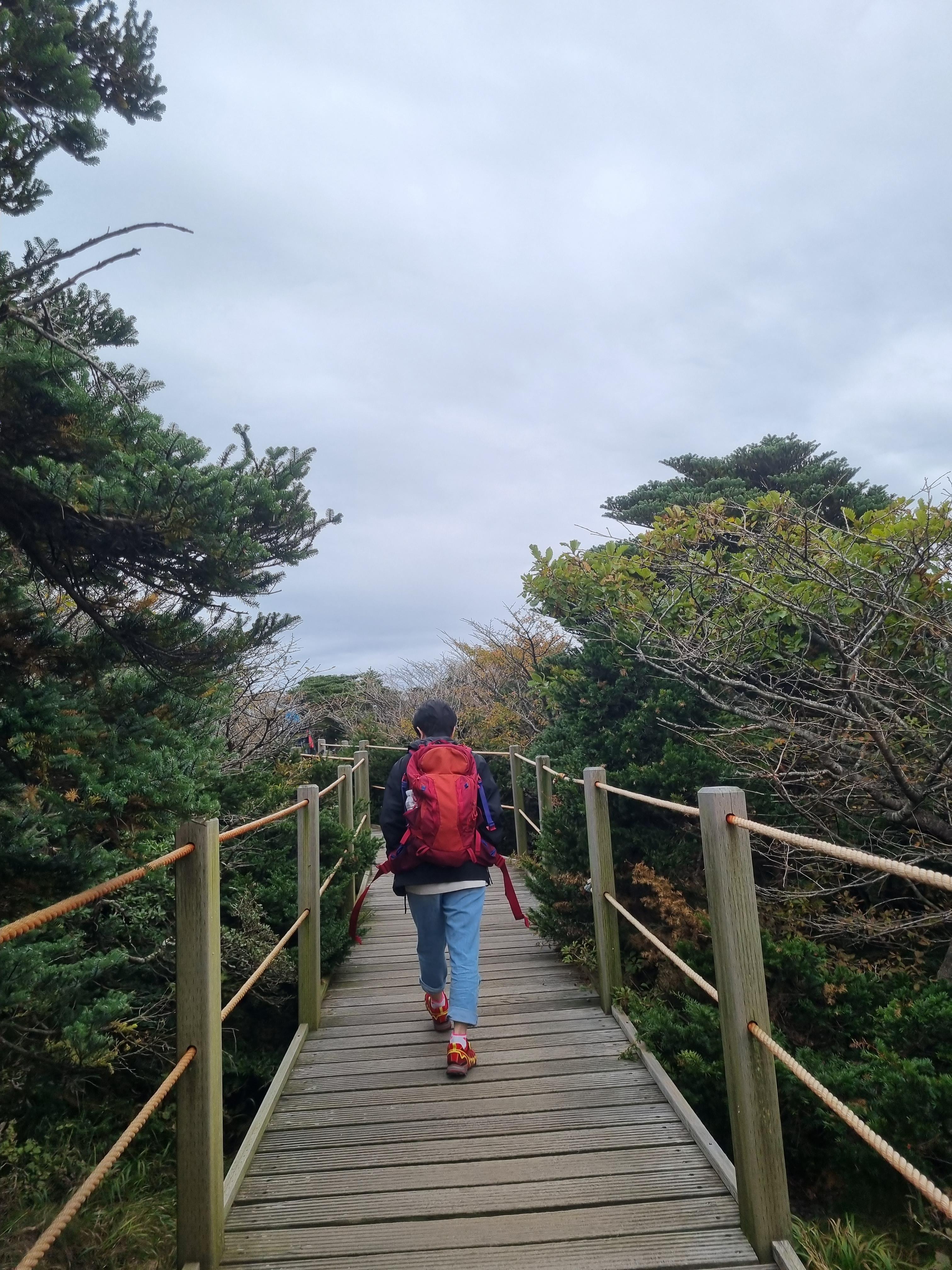 윗세오름 영실코스