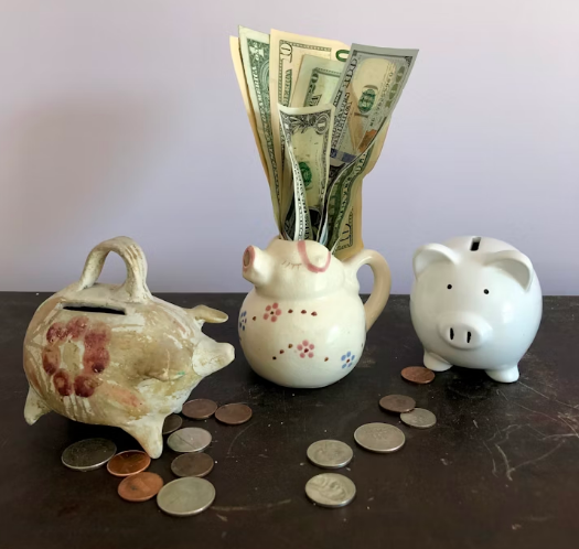 신용 불량자,