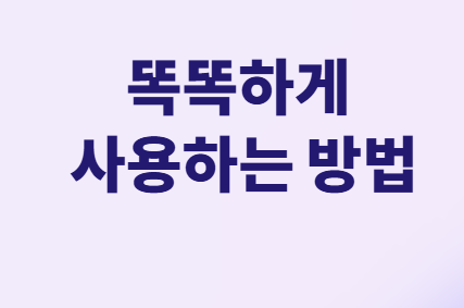 2025년 인기 트래블카드 4종 실사용 후기