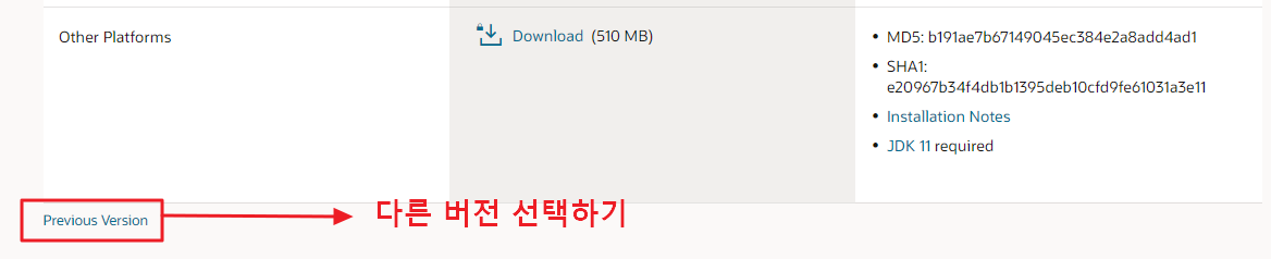 Oracle Developer 다른 버전 설치하기