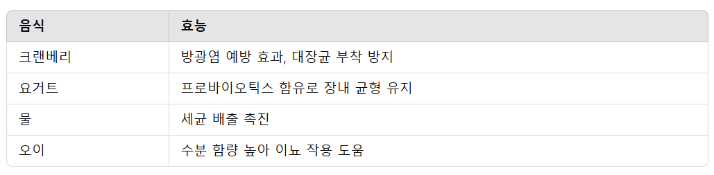 방광 건강에 좋은 음식