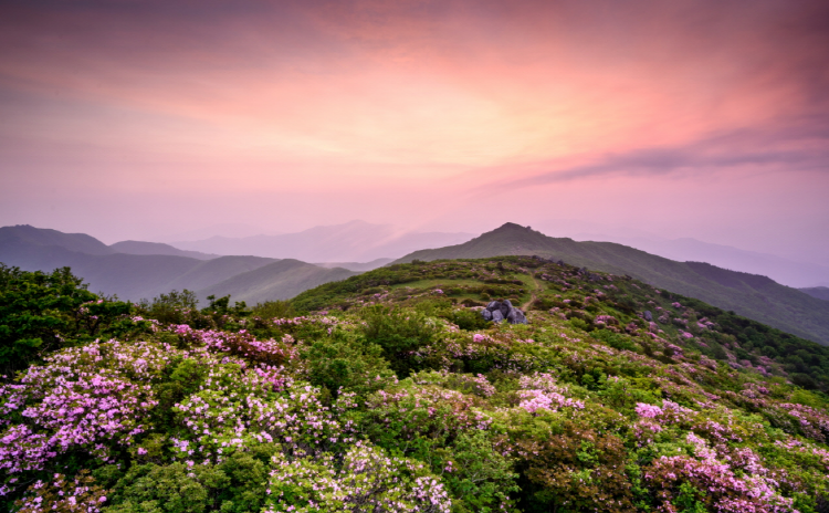 소백산 등산코스