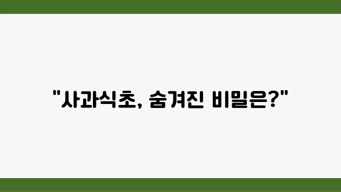 사과식초 (애사비)의 효능과 먹늕 죄정