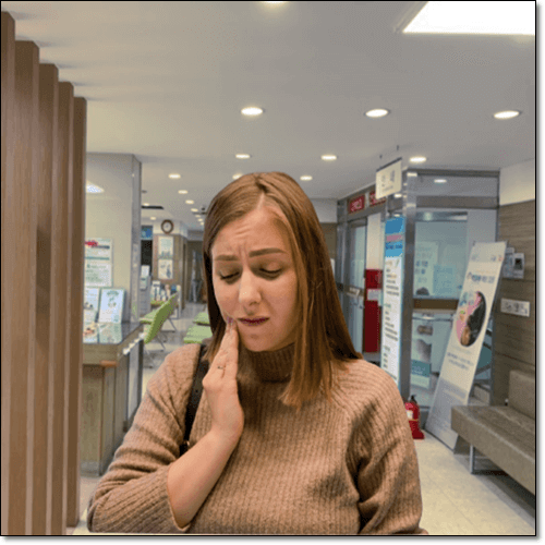 노각나무 효능 치아 건강