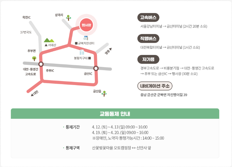 2025 금산 보곡산골 산벚꽃축제 - 일정, 명소, 대중교통 이용방법까지!