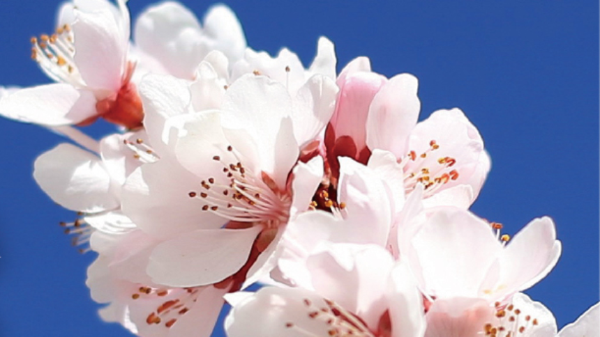 계절의 변화를 세분화한 24 절기 중 '춘분' 이해하기