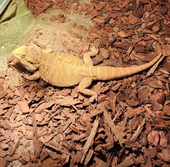 제주 비올때 가볼만한 곳