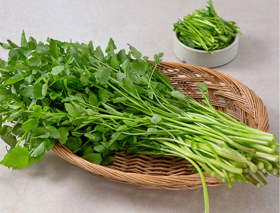 미나리의 모든 것