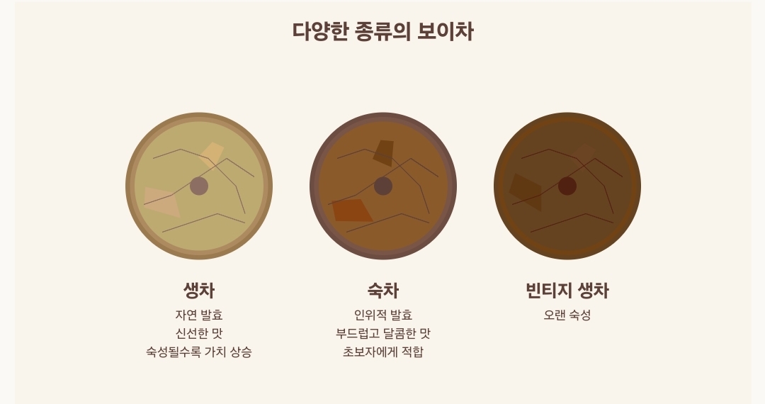 다양한 종류와 연식의 보이차 - 왼쪽부터 생차, 숙차, 오래된 빈티지 생차