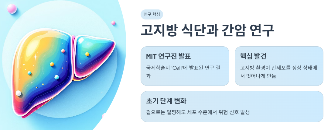 고지방 식단과 간암 연구의 핵심