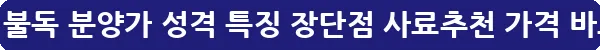 잉글리시 불독 분양가 성격 특징 장단점 사료추천 가격_6