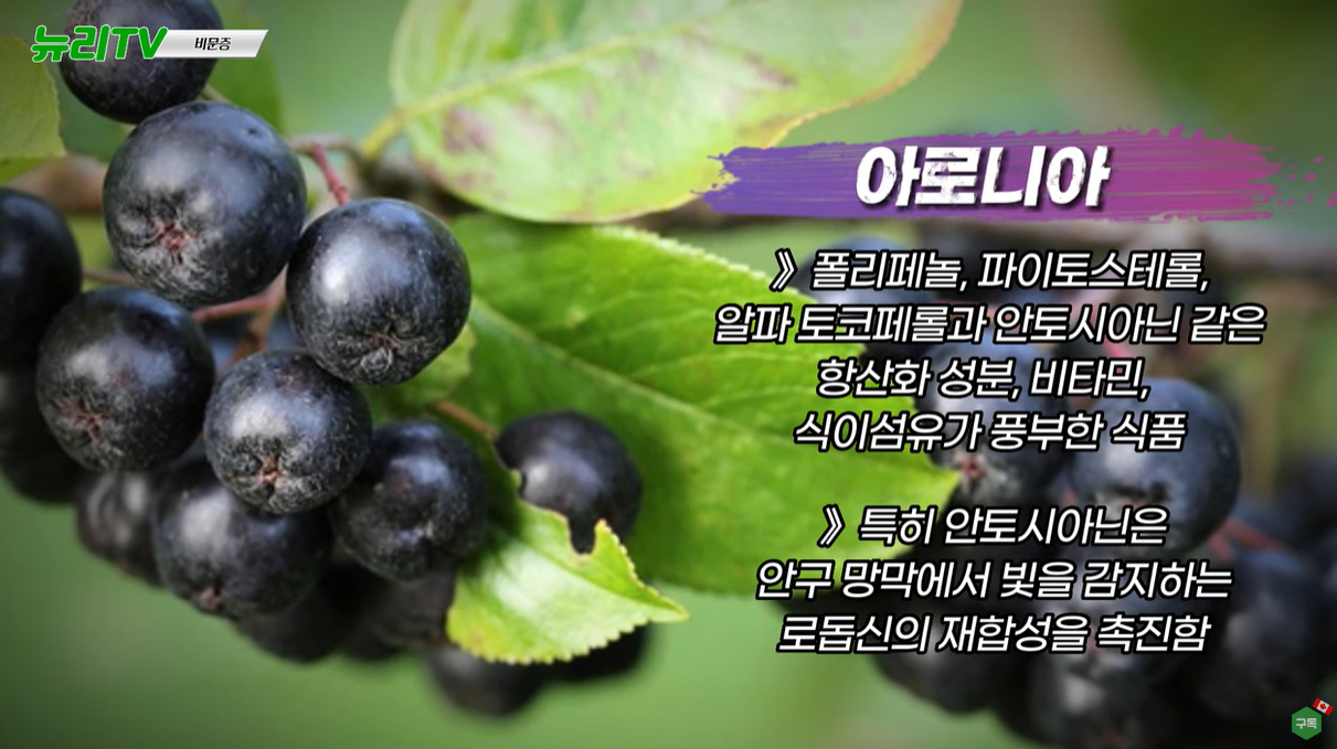 아로니아 효능