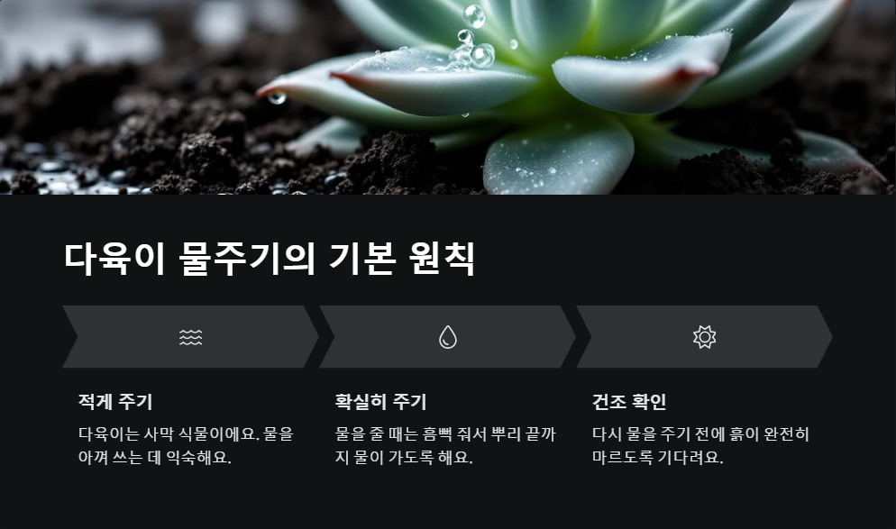 다육이 종류별 물주기 가이드