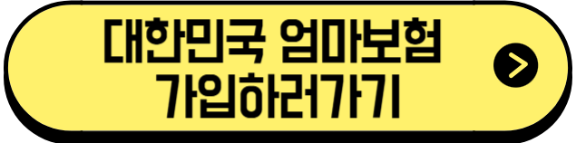 임신6주차대한민국엄마보험