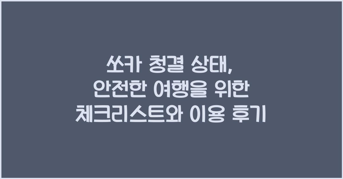 쏘카 청결 상태
