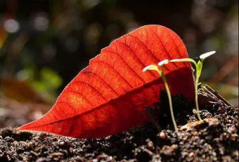 낙엽처럼 살아온 내 모습이 악보 완벽 연주 가이드_3