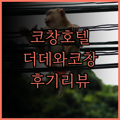 더 데와 코 창 호텔 후기 꼼꼼 리뷰