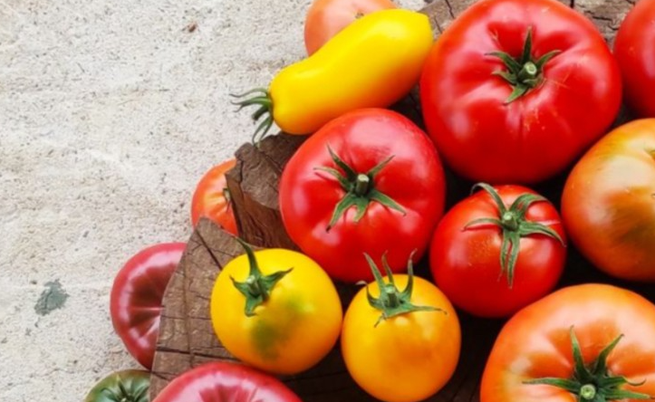 게실염치료음식-귤토마토오렌지