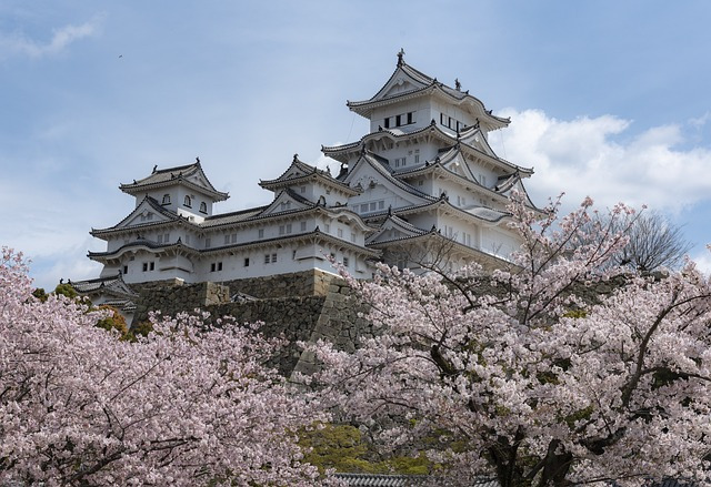 img src=&quot;Japan_Taiwan_Taipei_trevel_woman_solo.jpg&quot;alt=&quot;일본과 대만 여성 혼자 여행지 선택 팁&quot;