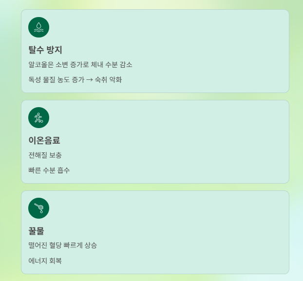 직장인을 위한 과학적 숙취 관리 완벽 가이드