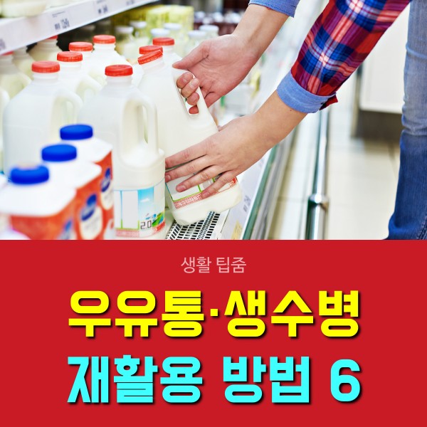 우유통 재활용 페트병 활용법 공예