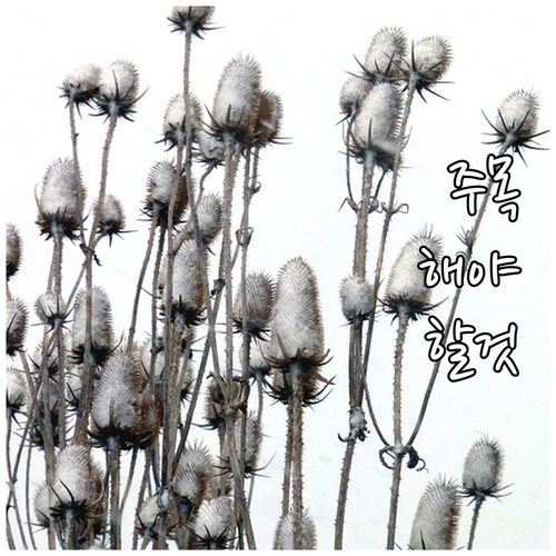 강서구 대형폐기물 수수료 얼마? 품목..