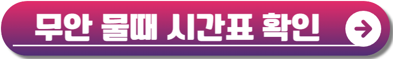무안 연꽃축제