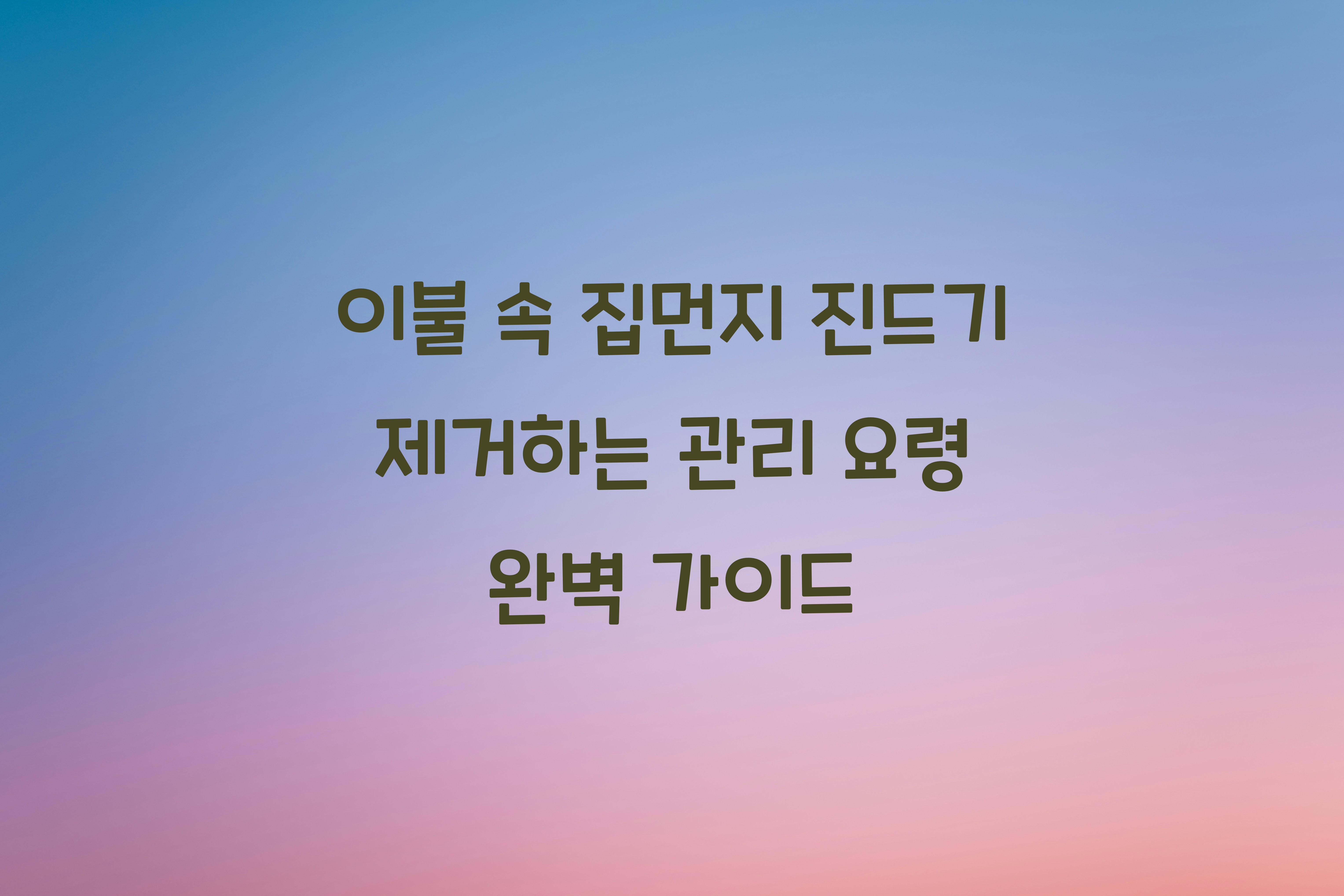 이불 속 집먼지 진드기 제거하는 관리 요령