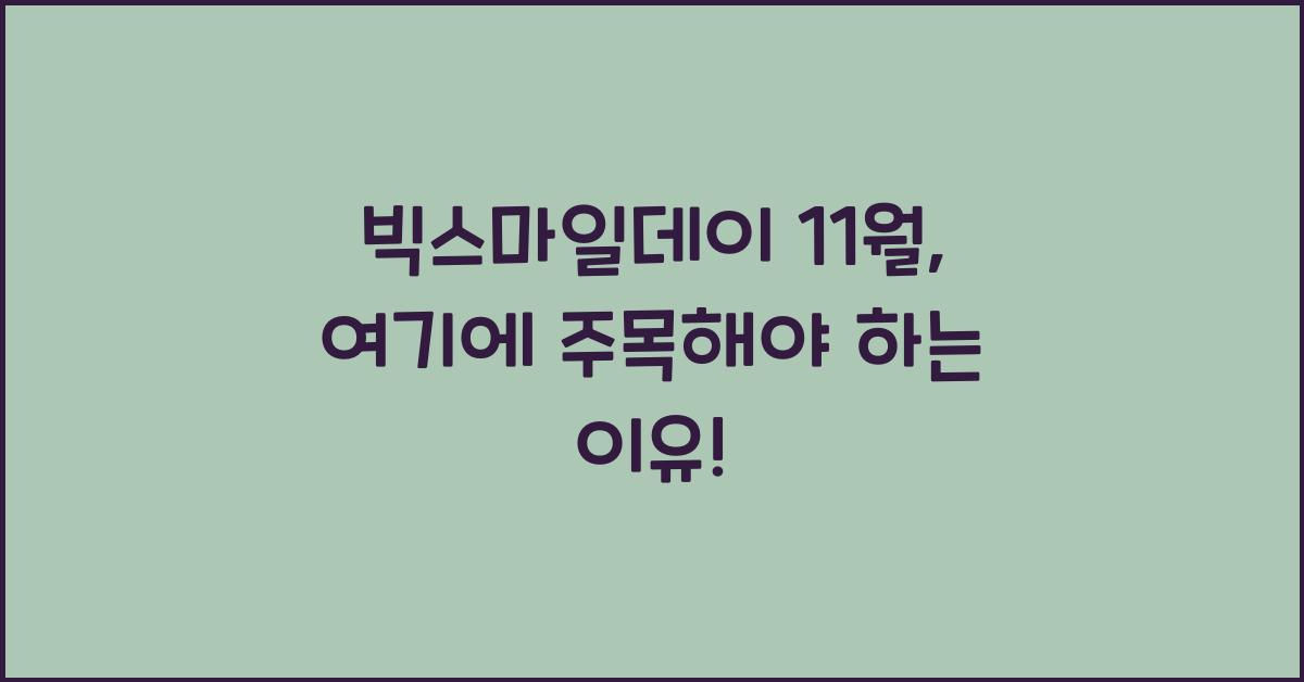 빅스마일데이 11월