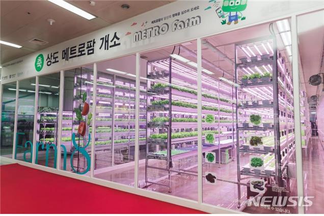 스마트팜이 바꾸는 농업의 미래: AI와 자동화의 혁신