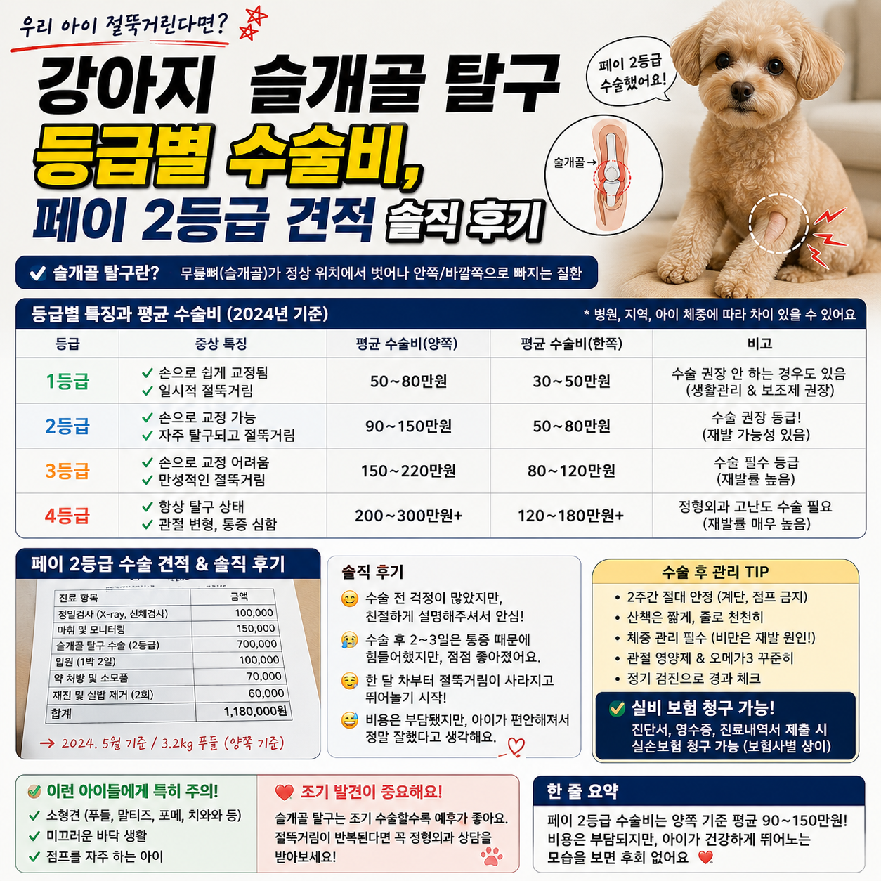 강아지 슬개골 탈구 등급별 수술비, 페이 2등급 견적 솔직 후기