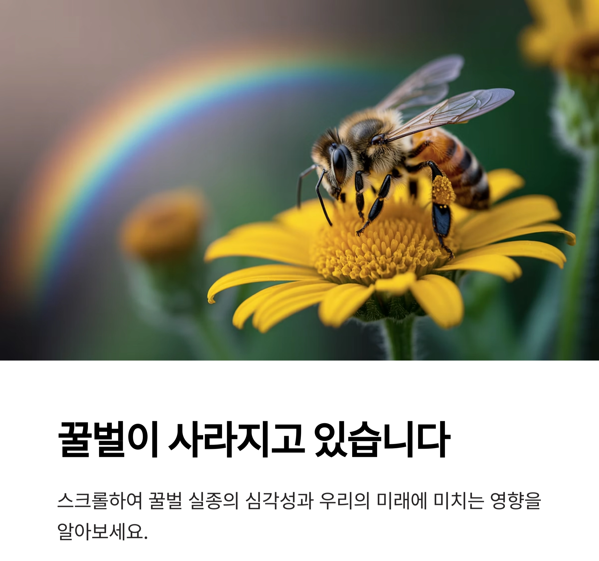 꿀벌의 실종 : 우리가 외면할 수 없는 지구의 경고