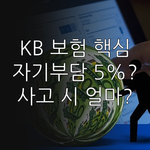 KB 자차보험 자기부담금 비율에 따른..