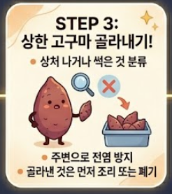 고구마 보관하는법