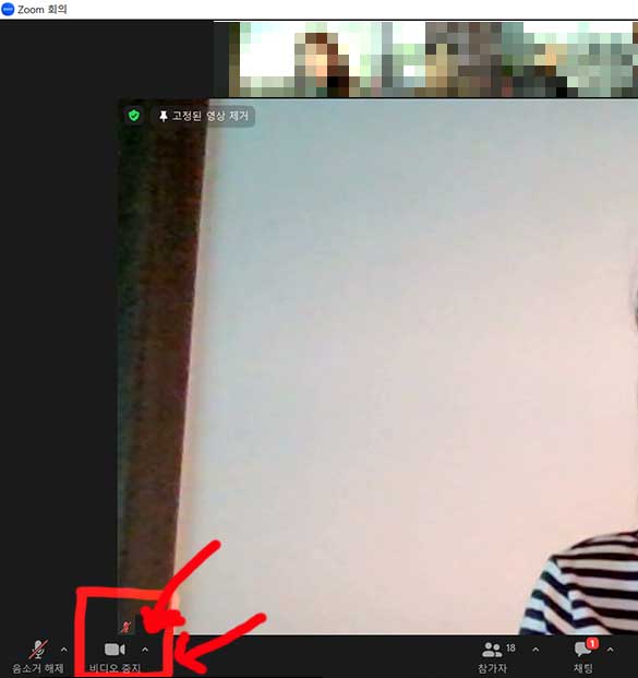 zoom 비디오