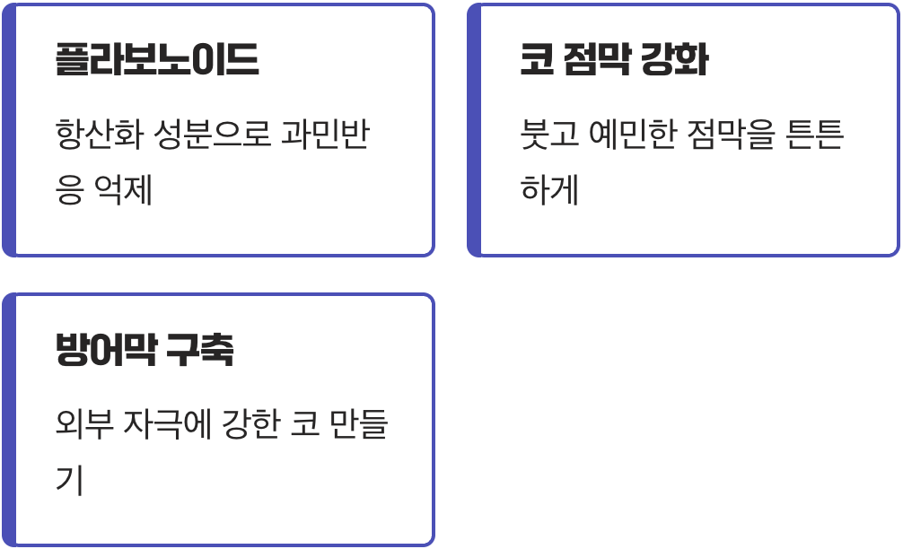 2. 과민반응 스위치를 꺼주는 염증 완화 효과