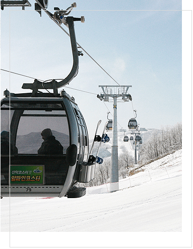 하이원 리조트 스키장과 관련된 사진