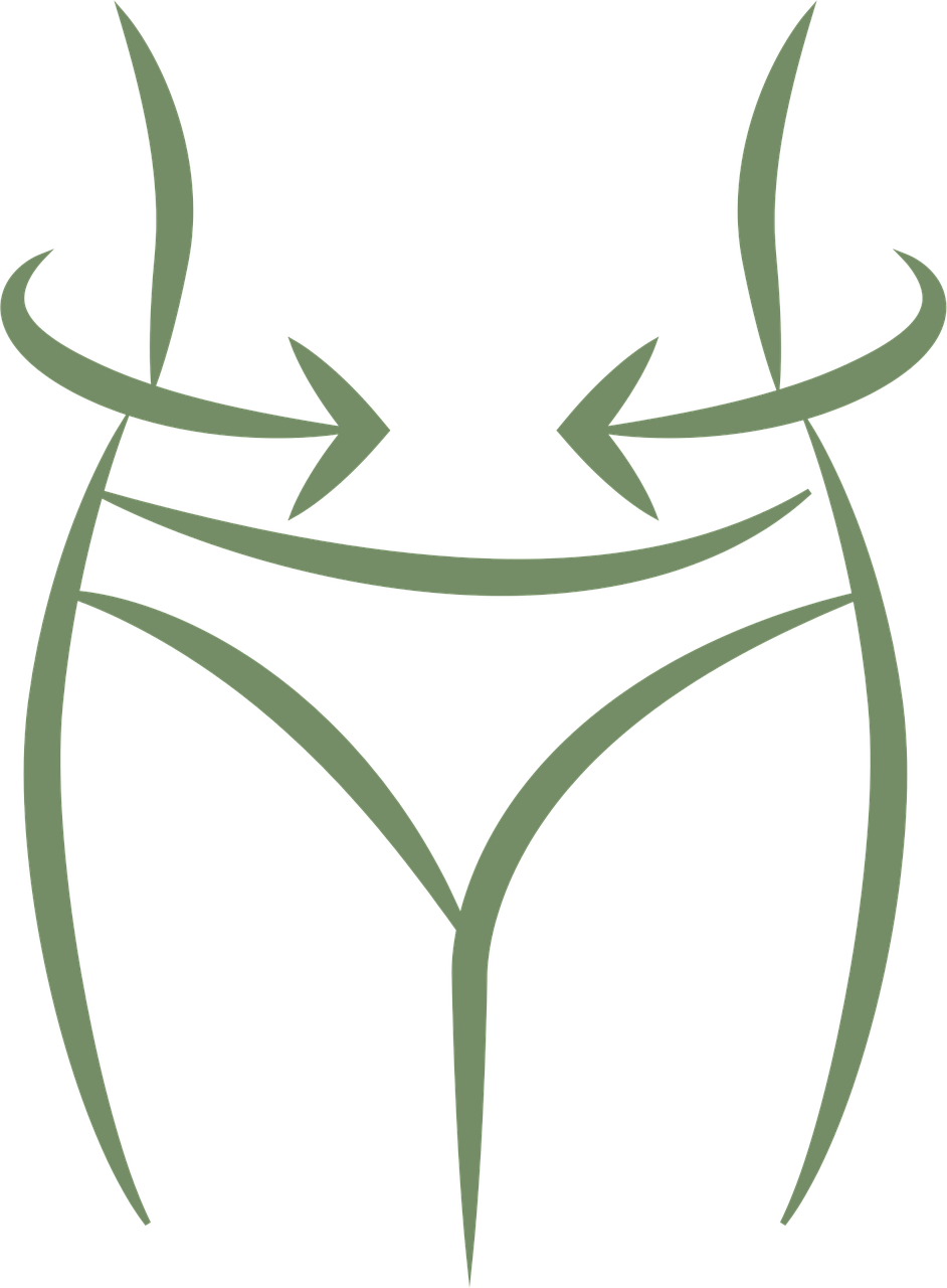 마운자로 다이어트 효과